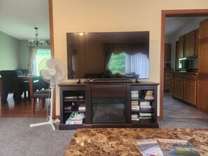 Smart TV, chimenea, reproductor de DVD y libros
