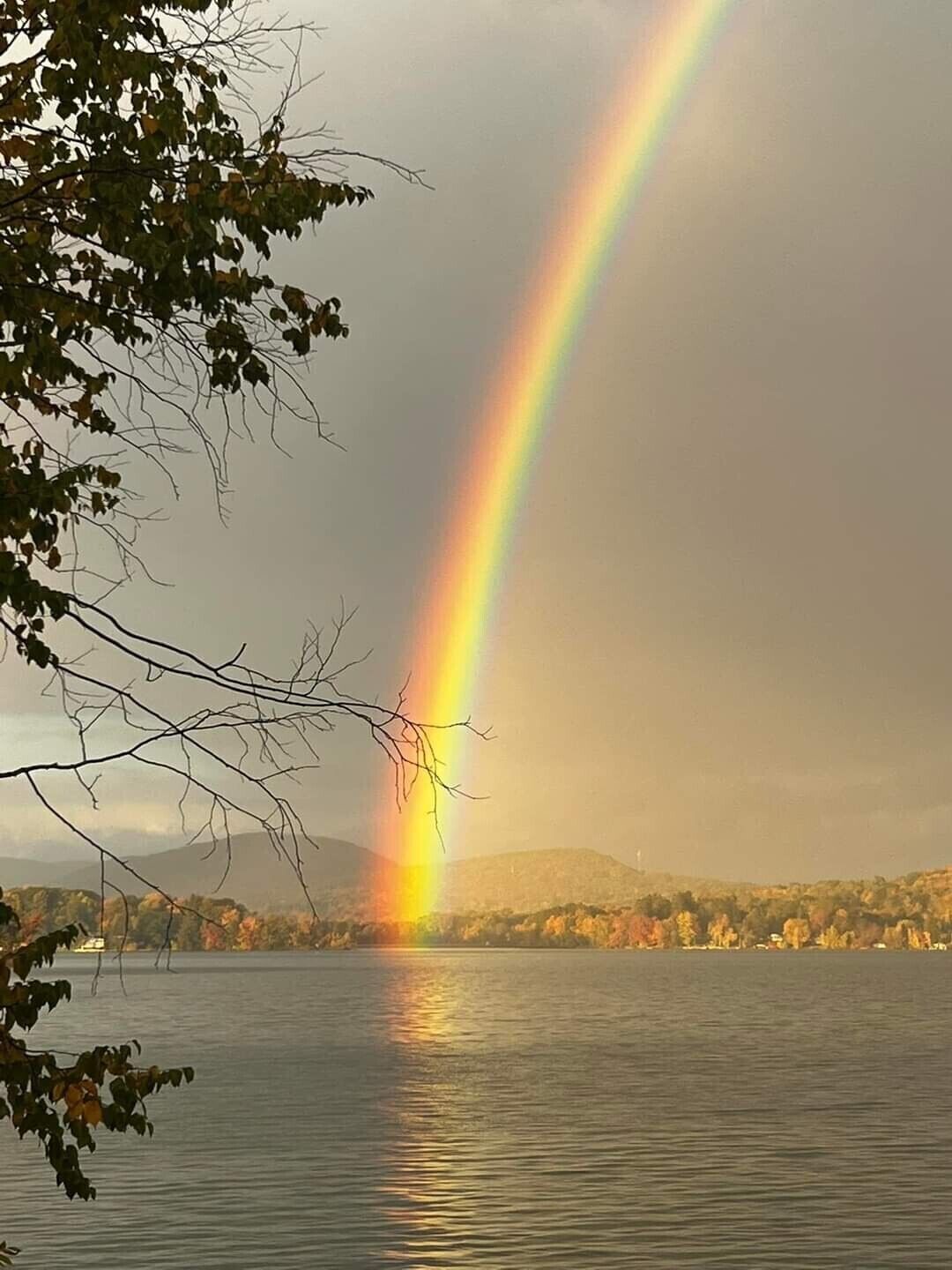 Een regenboog boven een waterpartij, met bomen op de voorgrond.