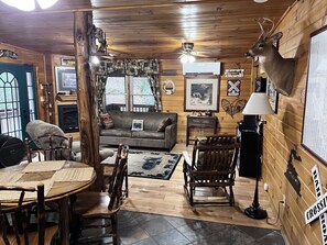 TV, fireplace, DVD player, video library