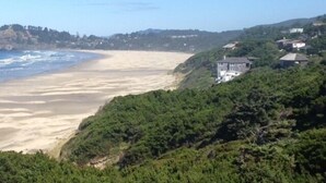 Un paisaje costero con una playa arenosa, vegetación verde exuberante y casas en la ladera.