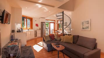 Smart TV, fireplace, books, stereo
