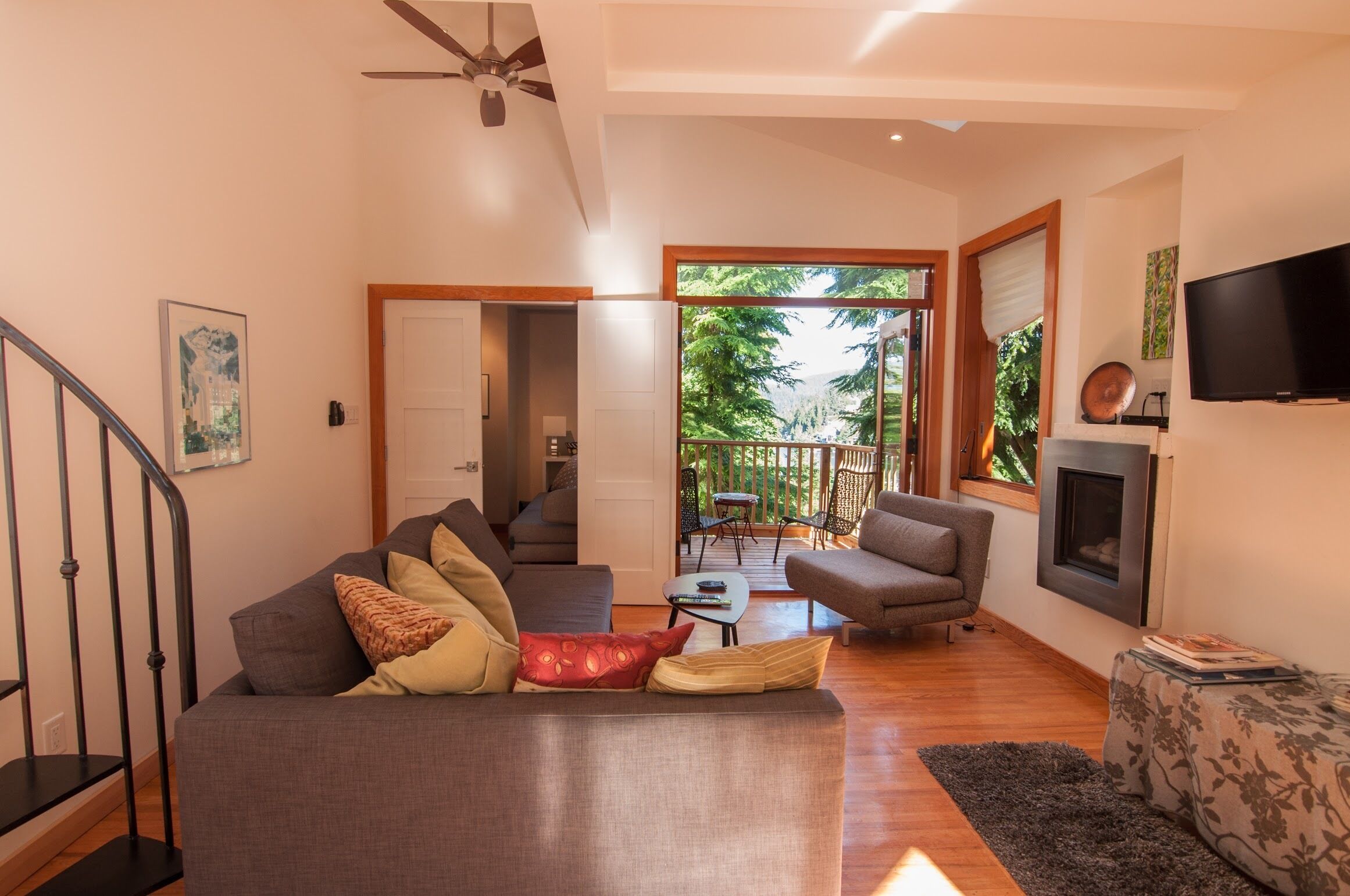 Smart TV, fireplace, books, stereo