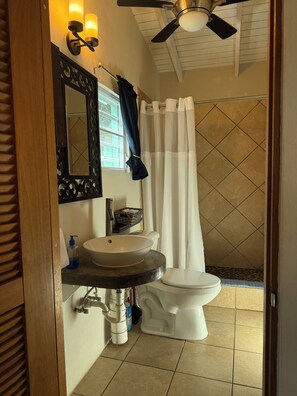 Shower, hair dryer, towels, soap - Coralina- Beautiful Cottage for Two...a Great Value (Vieques)