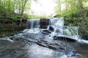 Une cascade située dans une zone boisée, caractérisée par un terrain rocheux et une végétation luxuriante.
