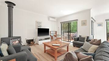 TV, fireplace, books