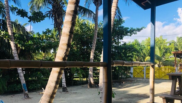 A wooden deck with a hammock and a table, surrounded by palm trees and a yellow fence.