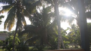 A view of a residential area with palm trees and a house in the background.