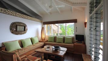 Flat-screen TV, DVD player, books, music library
