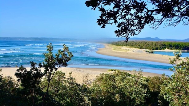 Un paysage côtier avec une plage, des vagues de l’océan et un premier plan bordé d’arbres.