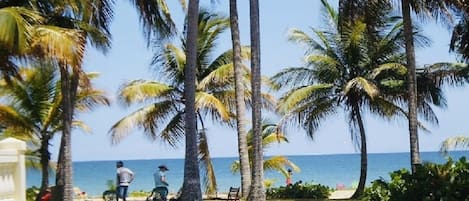 靠近海滩、沙滩椅、沙滩毛巾