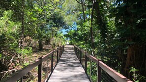Stroll along the serene boardwalk surrounded by lush greenery and trees.