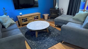 Smart TV, fireplace, books, video library