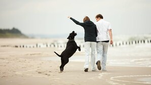 Zwei Personen laufen mit einem Hund am Strand.
