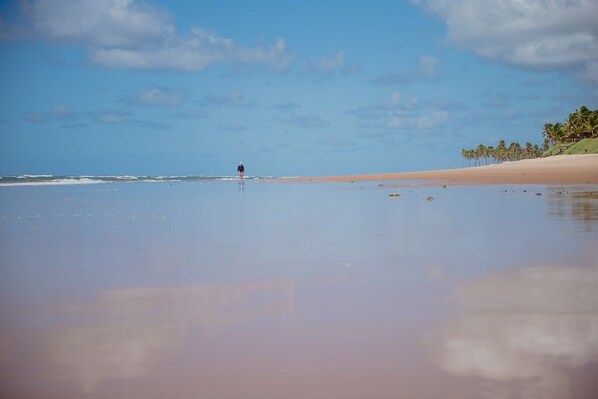 A beach with a person walking on the sand, palm trees, and a clear sky. - BEST OF GUARAJUBA, GENIPABU SUMMER HOUSE, BEACHFRONT (Camaçari)