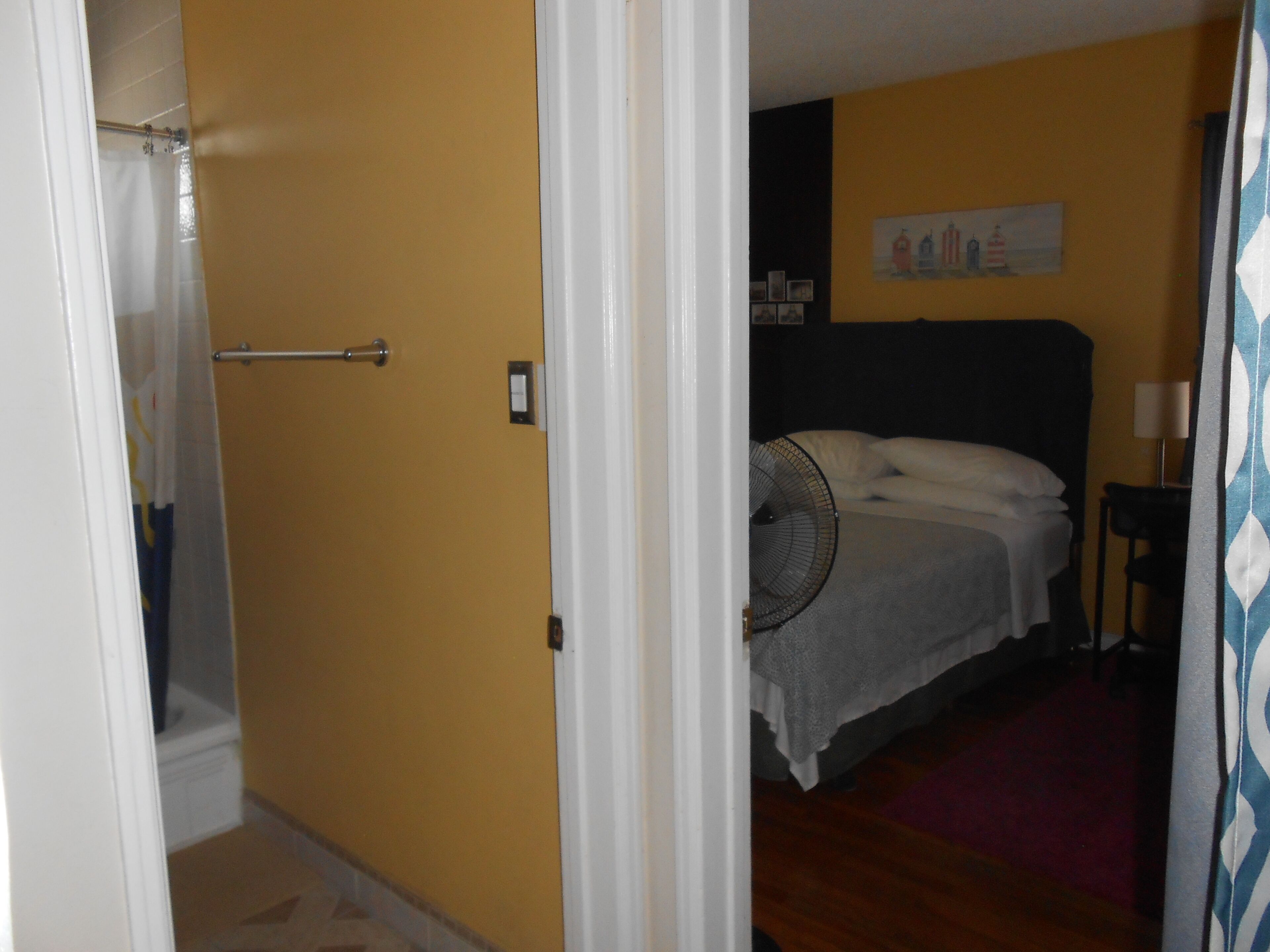 A room with a bed, a standing fan, and a shower area.