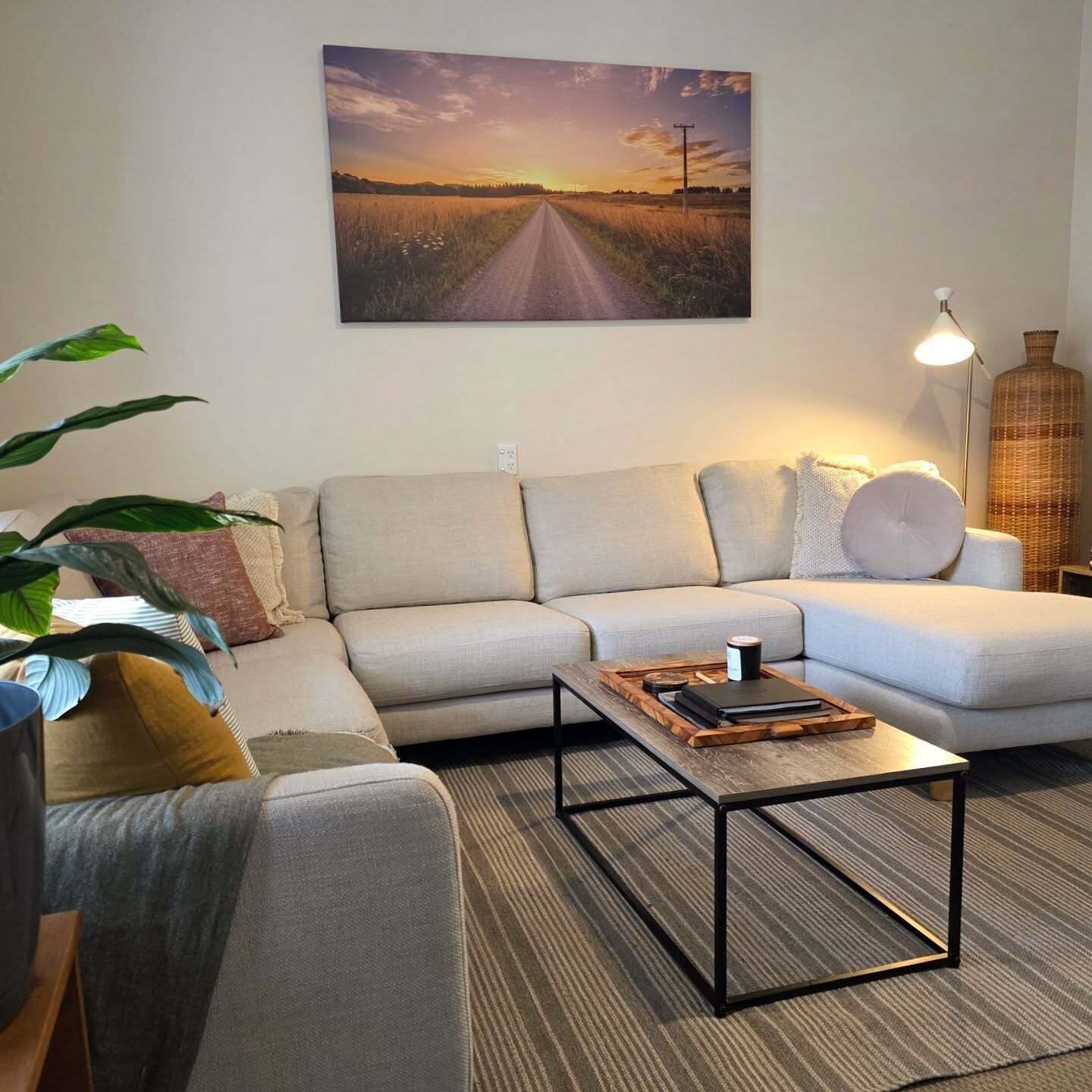 TV, fireplace, DVD player, books