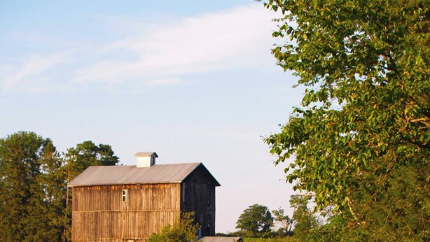A rustic wooden barn by a calm lake with reflections, surrounded by lush greenery and trees. - The Mill House, year around Country Home & Historic Grist mill w/ 2 Kayaks (Posen)