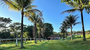 A grassy area with palm trees and a building in the background. - Property in Torrinha - near Brotas (Torrinha)