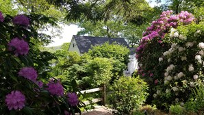 Un jardin avec différentes plantes à fleurs et une maison en arrière-plan.