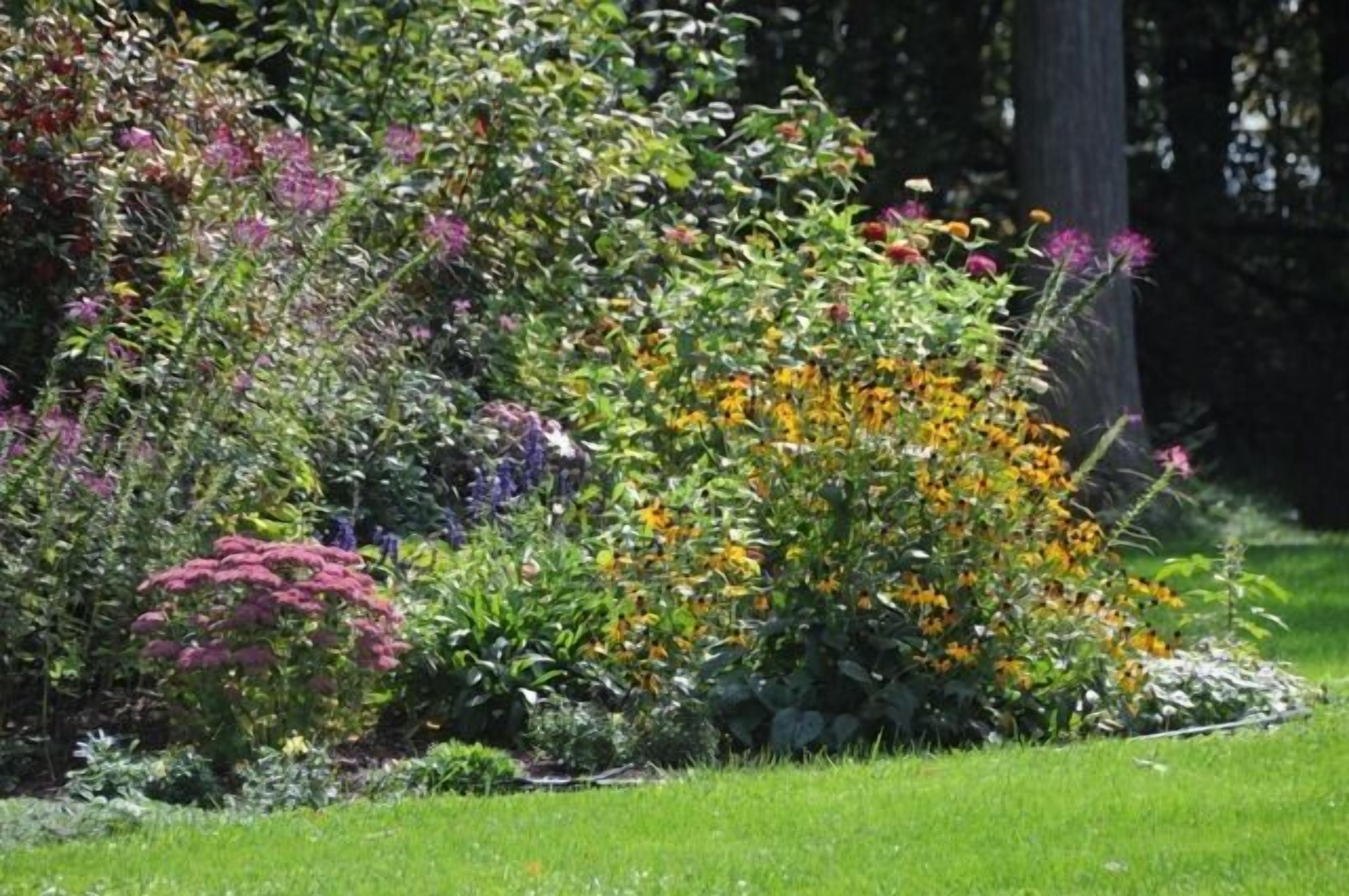 Close up photo of one of the flower gardens