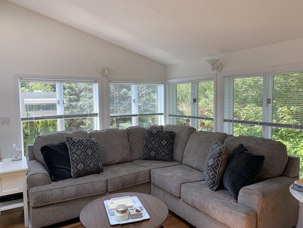 Smart TV, fireplace, DVD player, books