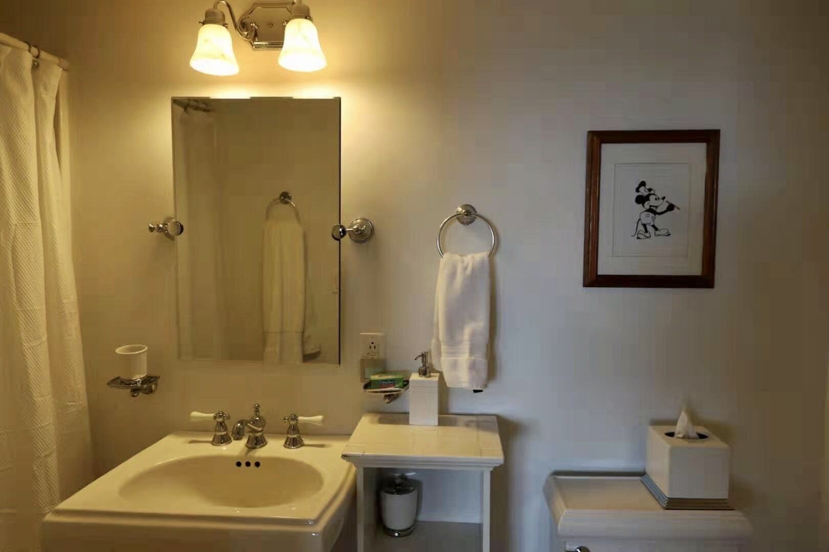 Ein Badezimmer mit Waschbecken, Spiegel, Handtuchhalter und einem gerahmten Bild an der Wand.