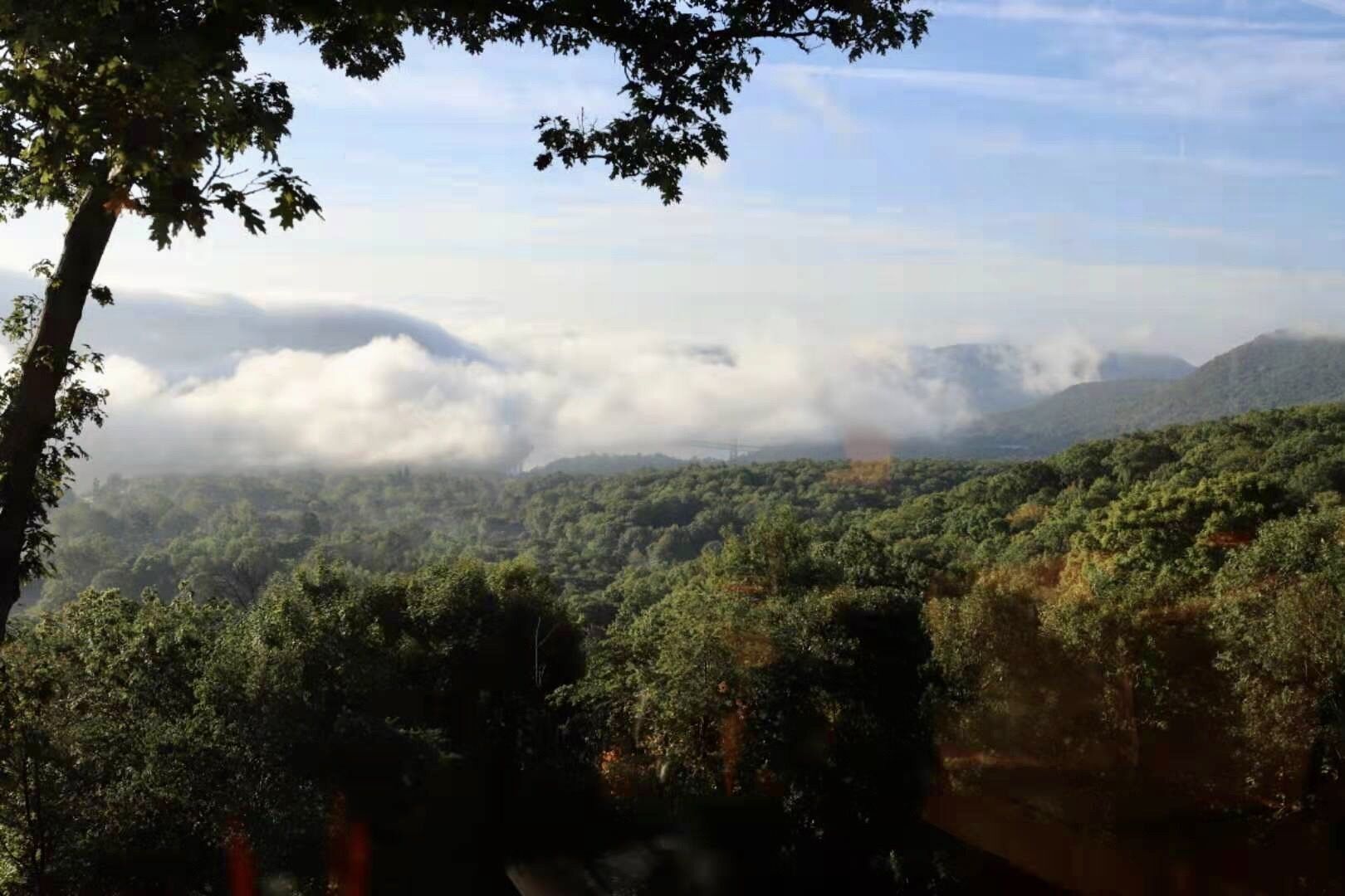 A forested landscape with a view of distant mountains and clouds.
