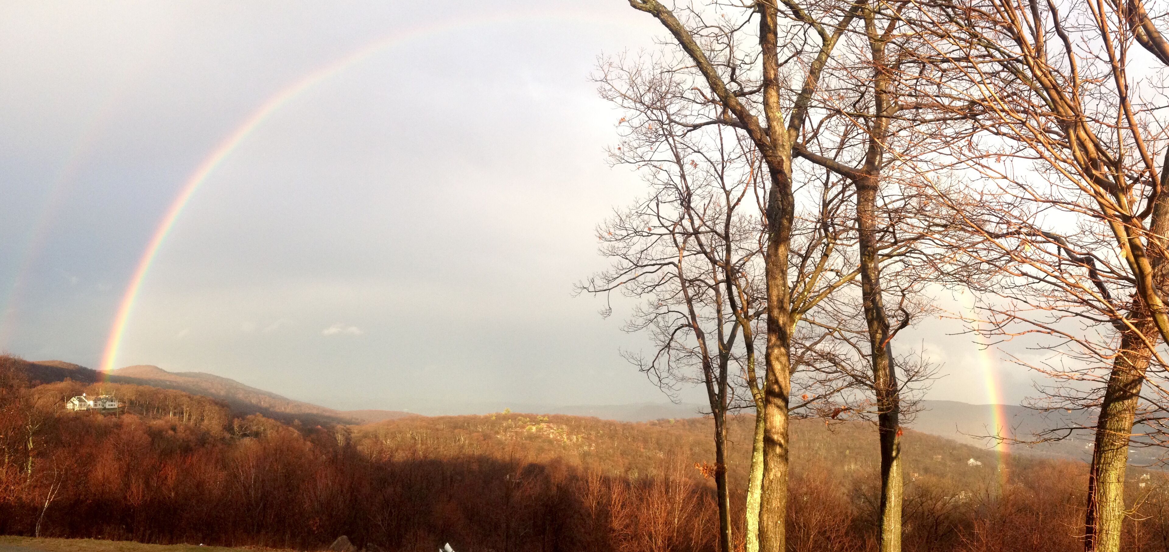 A landscape with a rainbow, trees, and a distant house.