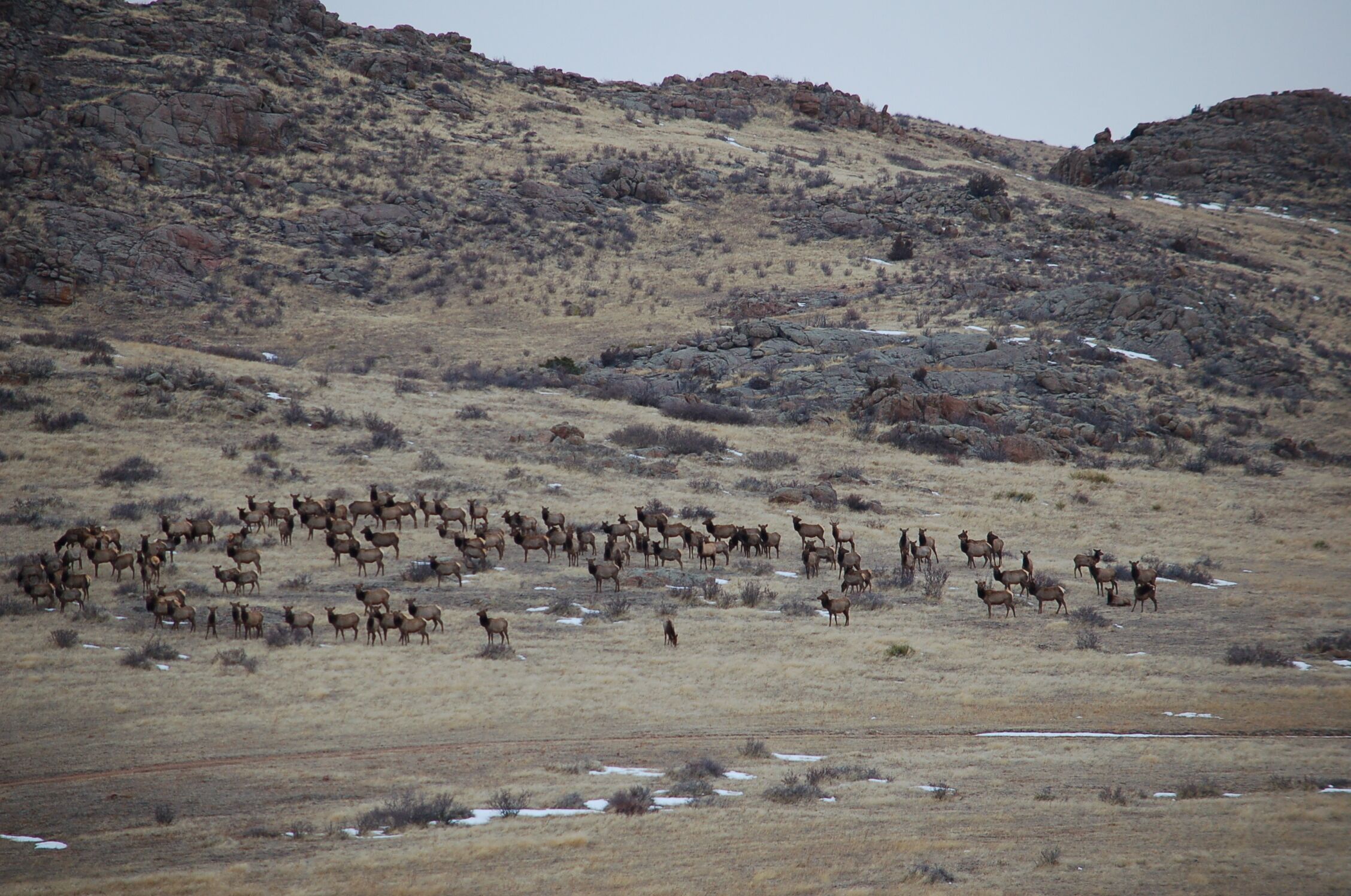 A Private, Luxurious Suite in the Colorado Mountains w/Full Gourmet Breakfast