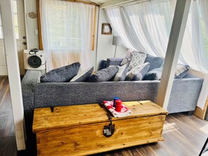 Smart TV, DVD player, books