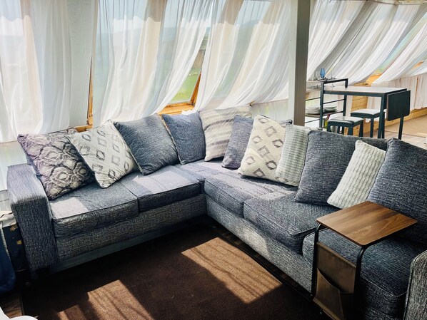 Smart TV, DVD player, books