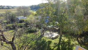 Ein Garten mit einer Steinstruktur, einem Baum und einem Gebäude im Hintergrund.