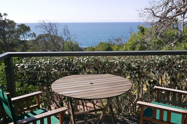 Dining on a sunny deck while watching the whale migration.