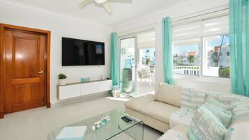 Smart TV, Netflix, books, streaming services