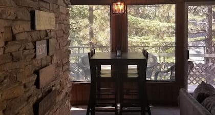 Entouré de pins, à quelques minutes de Snow Summit et de la famille / animaux de compagnie!