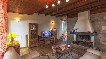 TV connectée, cheminée, lecteur de DVD, livres