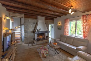 智能電視、壁爐、DVD 播放機、書籍