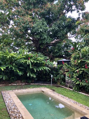 Pool - 3 minute walk to the beach and cafes!  (Palm Cove)