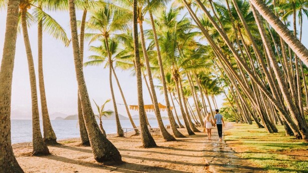 A beach lined with tall palm trees and a person walking along the path. - LARASATI  @ PALM COVE (PALM COVE)