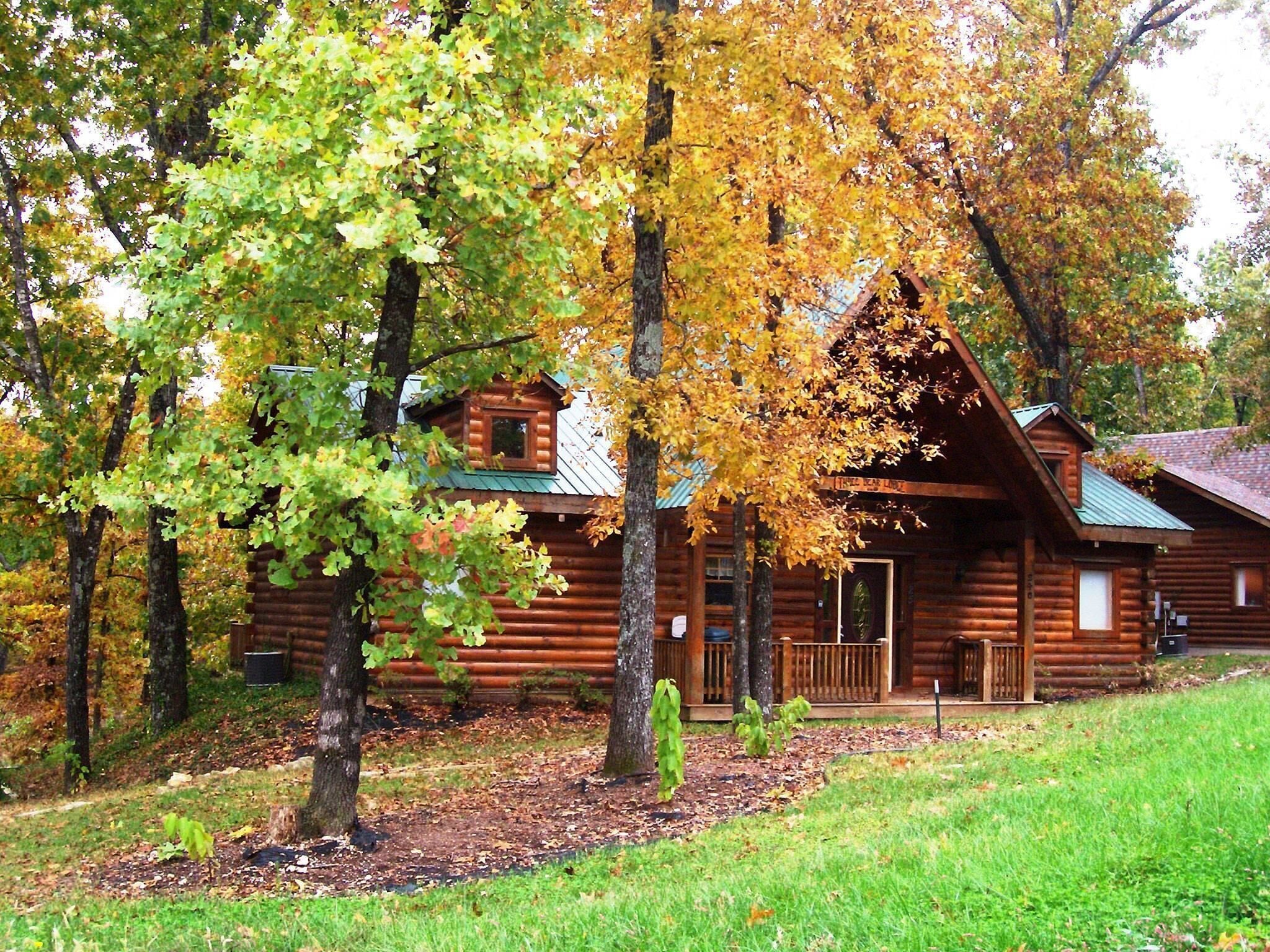 A log cabin with a porch and a small window, surrounded by trees with autumn leaves.