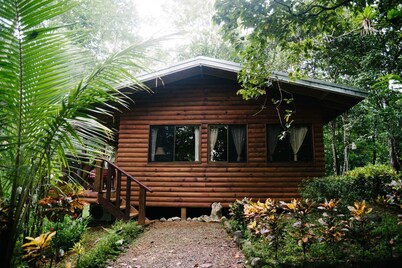 Jungle and river view cabin in a serene setting. Lowest nightly rates!! Views