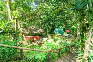 Property grounds - Peaceful Jungle Cabin – 100 Mbps Fiber, AC & Total Privacy (Quepos)