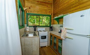 Fridge, oven, stovetop, coffee/tea maker