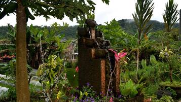 A garden with a stone water feature, various plants, and a tree.