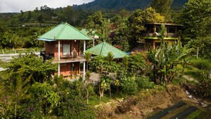 A bungalow with a green roof, surrounded by lush vegetation and a mountain in the background. - Dajan Buyan Homestay (Bedugul)