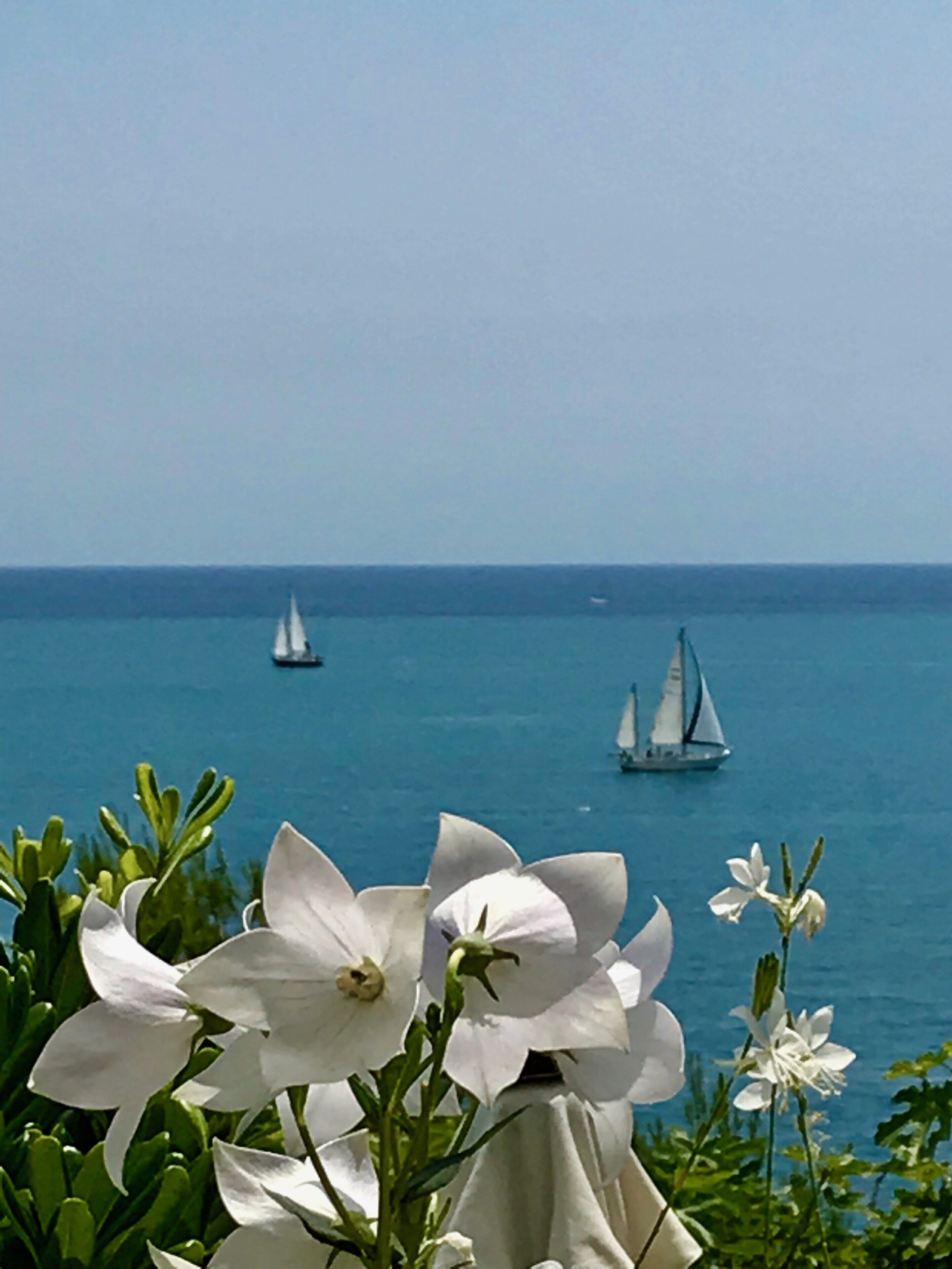 CAP D'ANTIBES - 2020