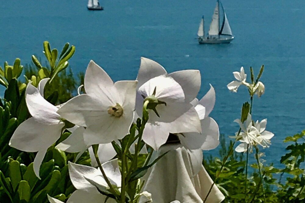 CAP D'ANTIBES - 2020