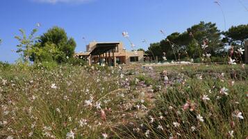 Jardines del alojamiento