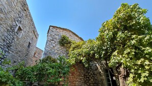 A stone courtyard with a door, a tree with green leaves, and a stone wall. - Old Tower-House in Mani peninsula (LAGIA)
