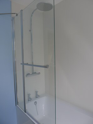 Combined shower/tub, soap, toilet paper